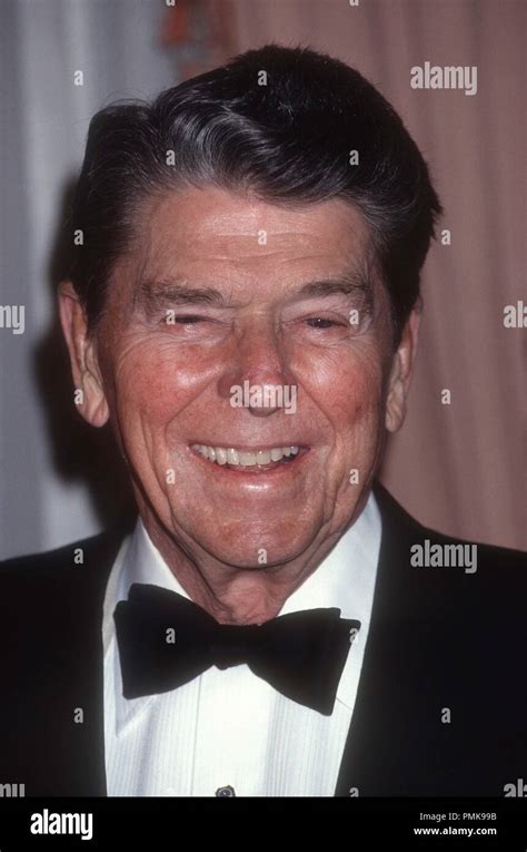 Ronald Reagan 1991 Photo By Adam Scull/PHOTOlink/MediaPunch Stock Photo - Alamy