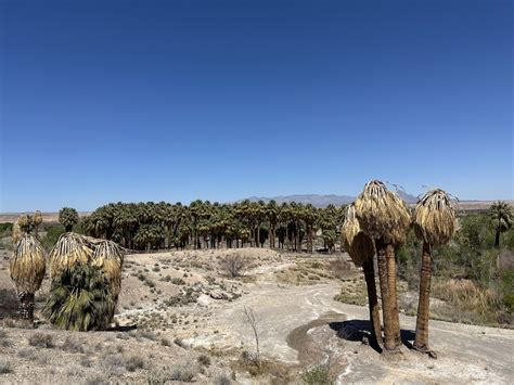 MOAPA VALLEY NATIONAL WILDLIFE REFUGE - Updated December 2024 - 50 Photos - 4001 W Warm Springs ...