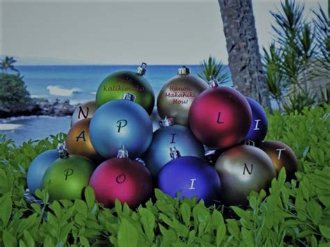 Mele Kalikimaka and Hau'oli Makahiki Hou!