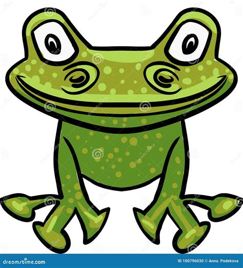 Green vector frog drawing stock vector. Illustration of large - 100796030