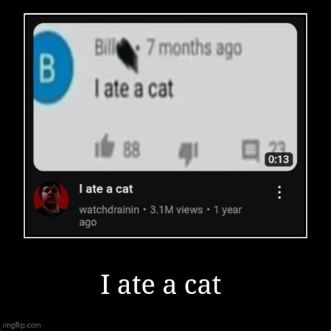 I ate a cat - Imgflip