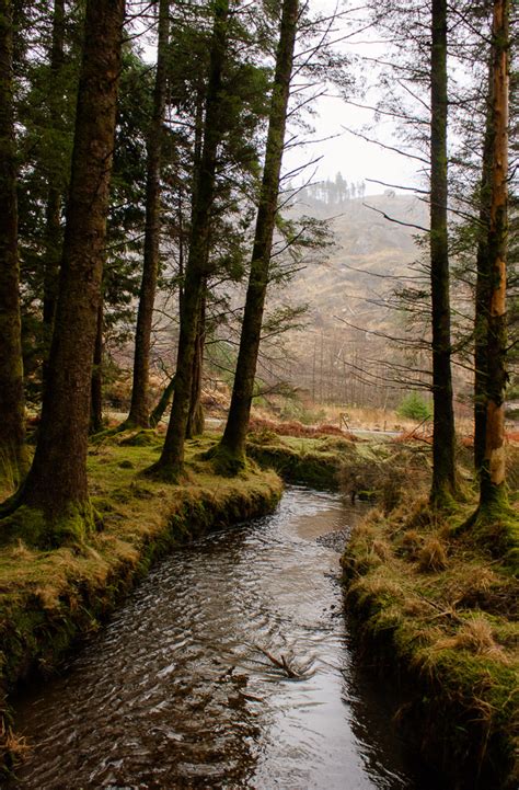 Hiking Ireland: Gougane Barra Forest Park - The Idyll