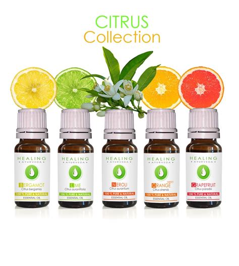 Citrus Essential Oils Luxury Citrus Oils Set Undiluted - Etsy