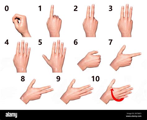 British, Australian and New Zealand Sign Language (BANZSL) sign numbers from 0 to 10, computer ...