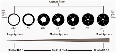 Photography Tips and the Camera Body, Lenses, and Editing Program I use for Photographing ...