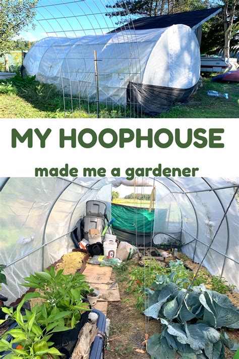 Project Greenhouse/ Hoophouse - will it work? - Project by Debbie ...