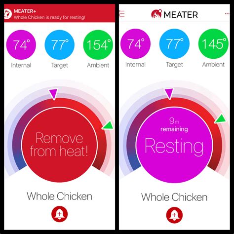 MEATER Wireless Smart Meat Thermometer - Review | A Glug of Oil