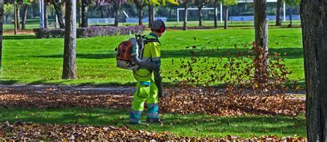 Best Backpack Leaf Blowers For A Spotless Yard – Gear Hungry