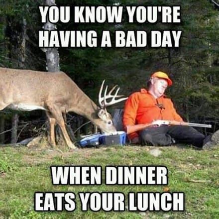 The 20 Best Deer Hunting Memes (So Far) - SayingImages.com