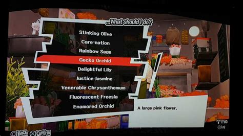 Persona 5 - Large Brightly Colored Flowers - Game Specifications