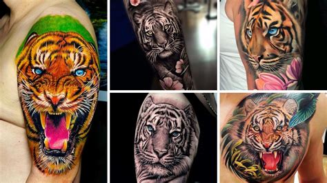 42+ Beautiful Tiger Tattoo Designs 2023