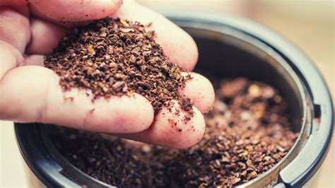 Coarse Ground Coffee: The Secret is in the Size - Cheeky Brew