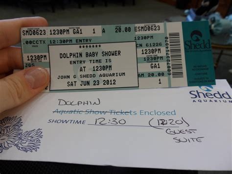 Dolphin Baby Shower: Fast Access to the Shedd Aquarium - Heels First Travel