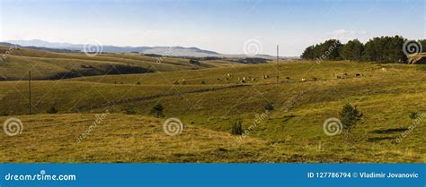 Beautiful Zlatibor Mountain Panorama View Stock Photo - Image of hill, panorama: 127786794