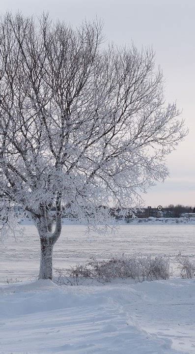 Snow Photography Tips: How to Photograph and Edit Snowy Scenes • PhotoTraces