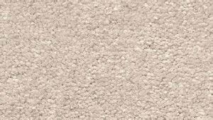 Textured Plush Carpet - Carpet Vidalondon