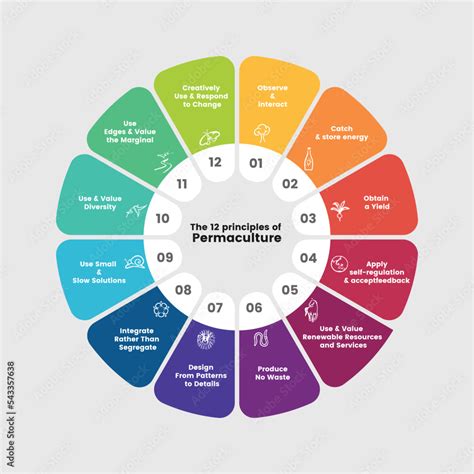 The 12 principles of permaculture - Permaculture Design Principles ...