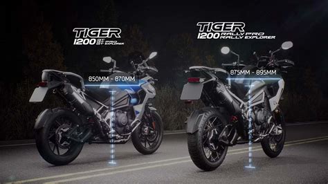 Tiger 1200 Design | For the Ride