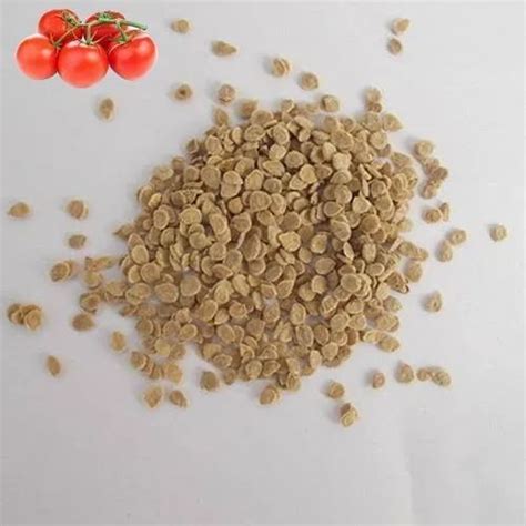 Dried Organic Tomato Seeds, Packaging Type: PP Bag, Packaging Size: 1 ...