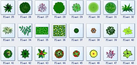 Landscape Design Plant Symbols