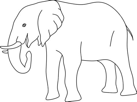 35 Elephant Sketch Drawing Images Png Sketch - vrogue.co