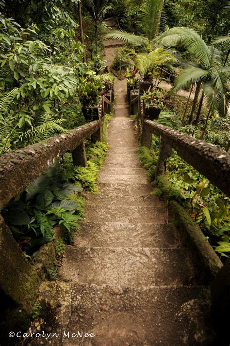 Life Journeys: Paronella Park in Queensland