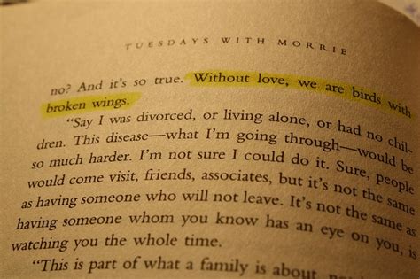 Tuesdays with Morrie | Tuesdays with morrie, Quotes about love and relationships, The notebook ...