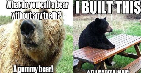 Bear Puns | Funny Bear Memes