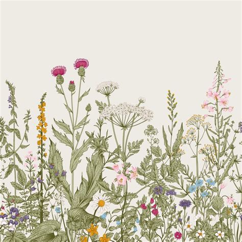 Vintage Engraved Wildflower Border Wall Mural - Murals Your Way