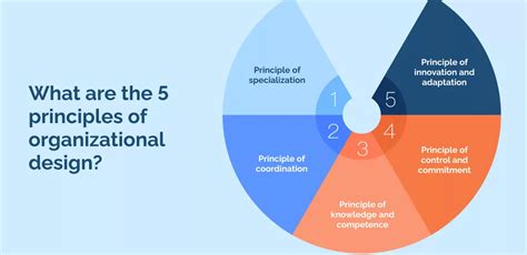 How to Use the 5 Principles of Organizational Design