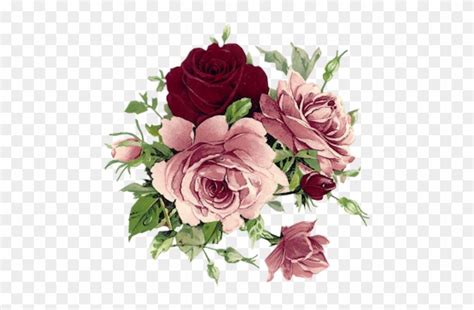 Beautiful Pink And Wine Colored Roses - Flowers Vintage - Free Transparent PNG Clipart Images ...