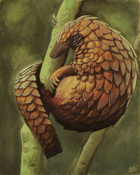 pangolin - DeviantArt | Pangolin | Pinterest | Creatures