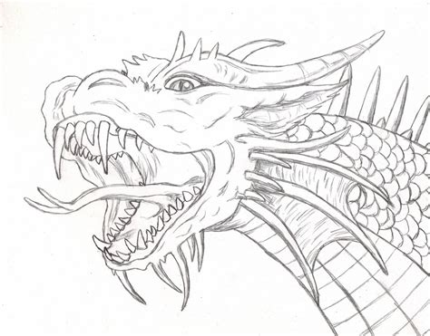 Dragon Scales Drawing at GetDrawings | Free download