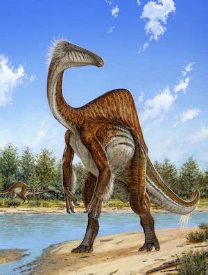 Largest ‘ostrich-like’ dinosaur may have been an omnivore | Science Media Centre of Canada