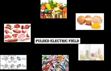 Effect of Pulsed electric field on various food products | Download ...