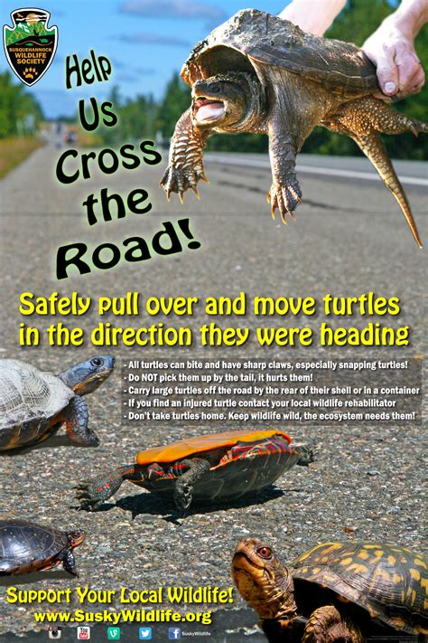 Wildlife Awareness Posters | Susquehannock Wildlife Society