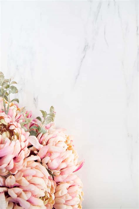 Download Exquisite Floral Arrangement on Pastel Background Wallpaper | Wallpapers.com