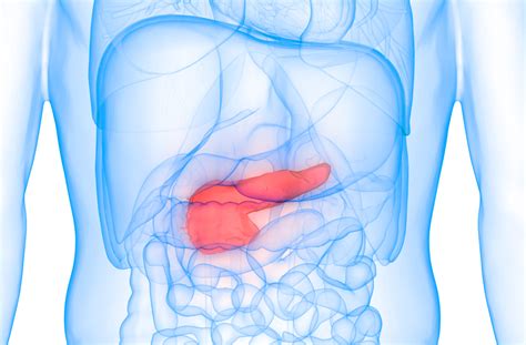 Hormone Infusion Improves Pancreatic Insulin Production in Cystic ...