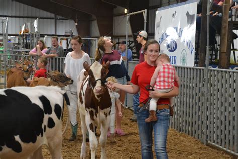 Youngsters get to show off animals at the fair | News, Sports, Jobs - Marietta Times