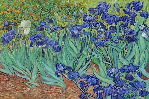 Irises Art Wallpaper mural - Van Gogh Murals Wall Murals