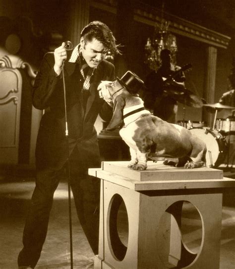 Elvis-TheKingsCourt > 1956 + HOUND DOG ~Song in the Spotlight..Record ...