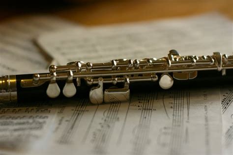 Free stock photos - Rgbstock - Free stock images | Piccolo Flute ...