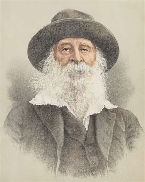 Portrait of Walt Whitman (1819-91) by American School