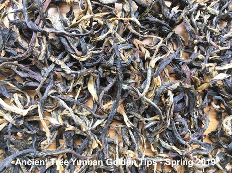 Yunnan Teas exceptional this season | Taiwan teas