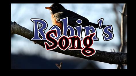 Robin's Song - What does a Robin Sound Like? - YouTube