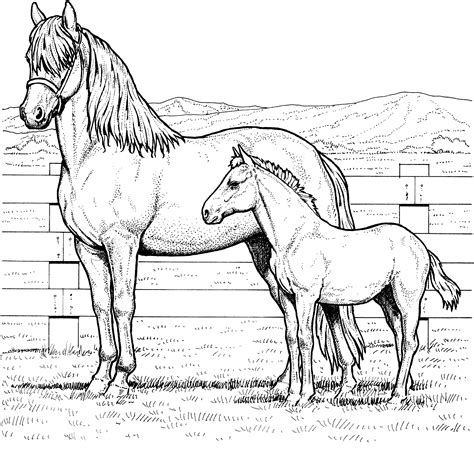 Coloring Pages Of Horses Printable