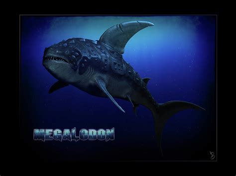 Megalodon Digital Art by Paul Gioacchini