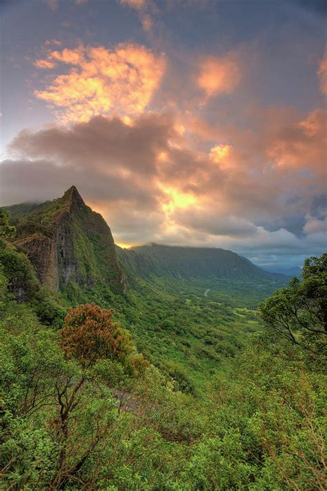 Hawaii, Oahu, Tropical Scenery #1 by Michele Falzone