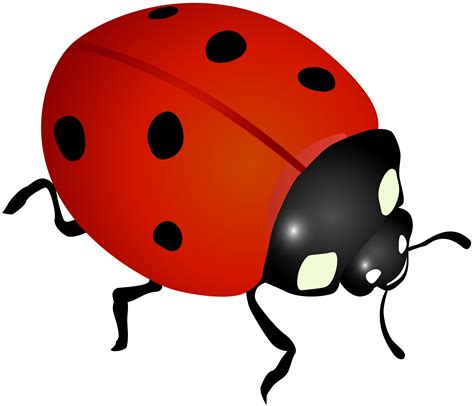 Free Ladybug Clip Art Free Ladybug Clipart Cute Ladybugs Headless | The Best Porn Website