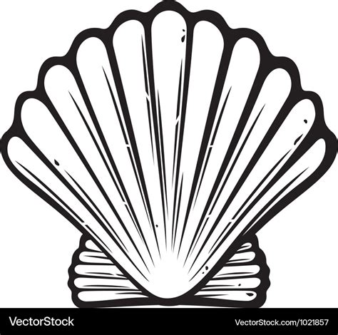 Seashell Royalty Free Vector Image - VectorStock